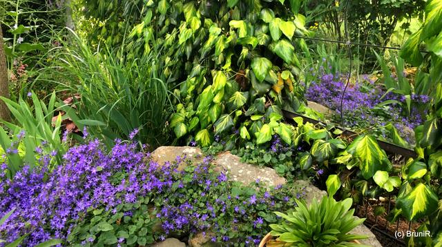 Gespiegelt ist gleich doppelt schön!