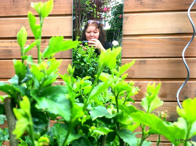 Und wieder ein Spiegel...
*