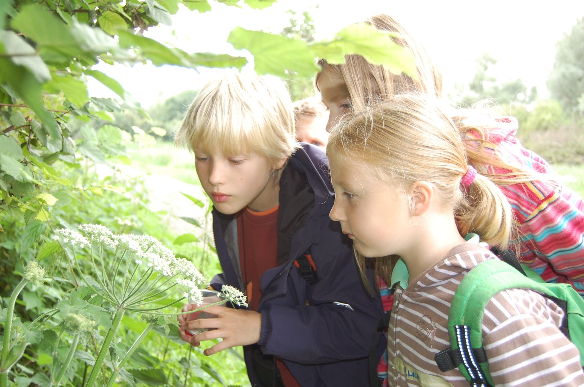 NABU Ferienaktion In Corona Zeiten Naturdetektive F r Kinder Und 