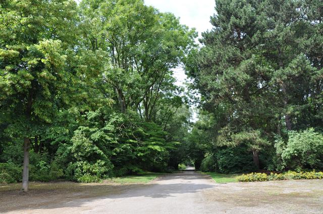 Die Friedhöfe, hier der Hauptfriedhof zwischen Wambel, Brackel, Neuasseln und der B1, leistet einen wichtigen Beitrag für das grüne Dortmund.