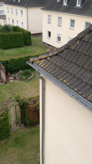 Die zu glatten Dachziegel verhinderten, dass die Katze eigenständig wieder zum Dachfenster hochklettern konnte.