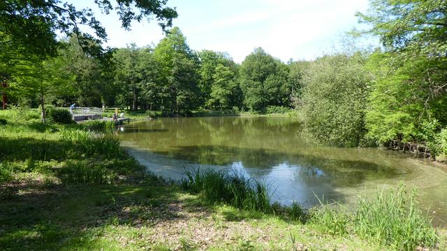 Der kleine Teich im Fredenbaum-Park im Blick von Südosten aus.