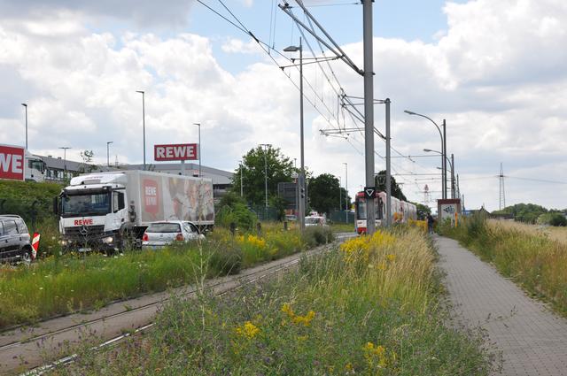 Dieses Bild zeigt den Asselner Hellweg zum Baustart im Juli 2020. Nach Abschluss der Arbeiten soll es von Süd nach Nord (im Bild von li. nach re.) zwei Fahrstreifen mit durchgehender Linksabbiegerspur, Grünstreifen, zwei Stadtbahngleise, Grün mit Zaun, Fuß- und Radweg sowie einen Streifen mit Bäumen geben. | Foto: Stadtanzeiger Dortmund, Käfer