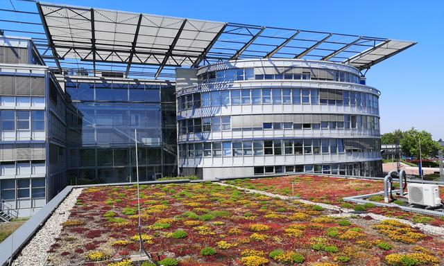 3.600 Quadratmeter begrünte Dachfläche wurde an der Fernuniversität Hagen von Unrat, Wildblumen und Laub befreit und präsentieren sich jetzt in einem vorbildlichen Zustand.