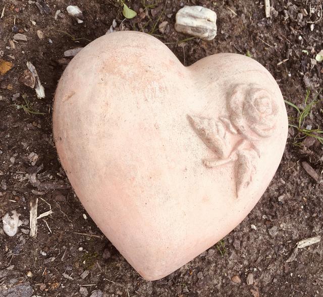 Fasst euch ein Herz ♥
und seht nie tatenlos zu!