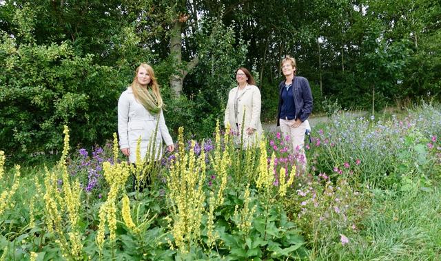 Kristin Weiss, Team Bauleitplanung; Bürgermeisterin Ulrike Westkamp; Ingrid Giesen, Teamleiterin Grundstücksmanagement (v.l.n.r.)
