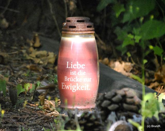 ... das war es dann...
Nehmt Corona nicht zu leicht... ♥