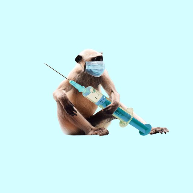 Ein Impfstoff gegen das Virus ist noch nicht gefunden. Deswegen bleibt die Einhaltung der Hygienemaßnahmen vorerst der beste Schutz, sagen die Experten.