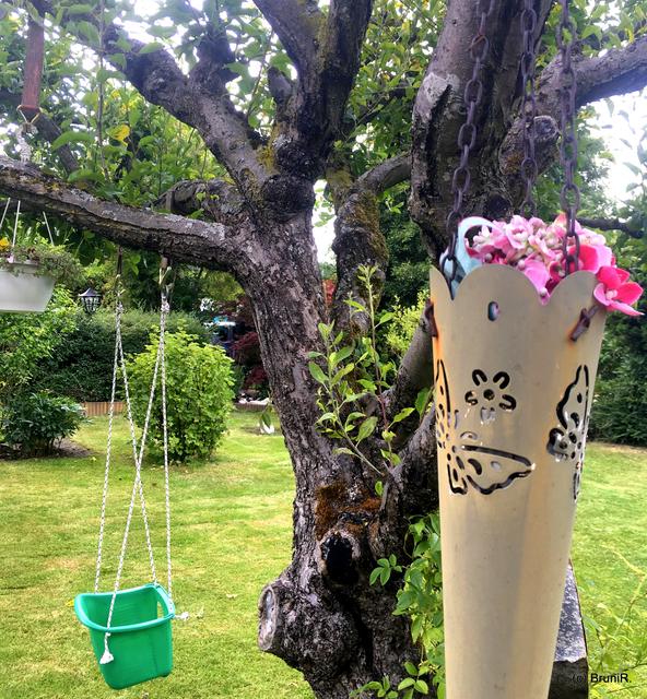 Die Kinderschaukel im Kirschbaum!