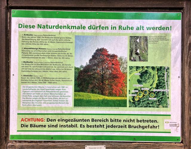 ...in Ruhe alt werden!