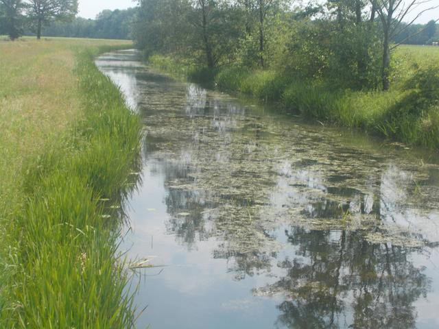 Unendlich die Natur.