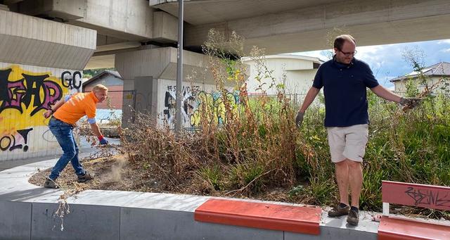 Zuerst wurden die Beete von den vollkommen vertrockneten Sträuchern befreit, dann der Müll aus den Beeten geholt und anschließend alles ordentlich geharkt.