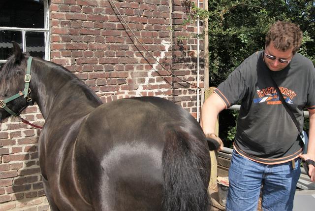 „Mir bringt ein Tag bei den Pferden wahnsinnig viel“, sagt Patti. Der Autist ist stets mit großem Eifer bei der Sache.
