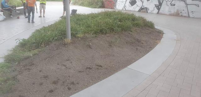 Das Ergebnis konnte sich sehen lassen!