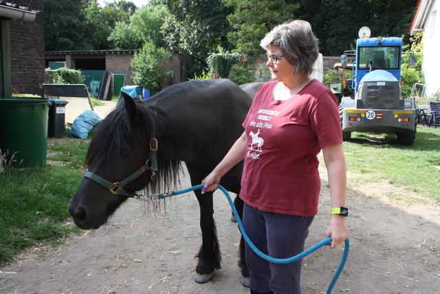 Sabine Krieger, in Neumühl wohnende Lehrerin an der Gesamtschule Hünxe, bringt die Arbeit mit Henry, aber auch das Ausmisten, Füttern, Striegeln und Reiten ist Ausgleich, Entspannung und Abwechslung zugleich.  
