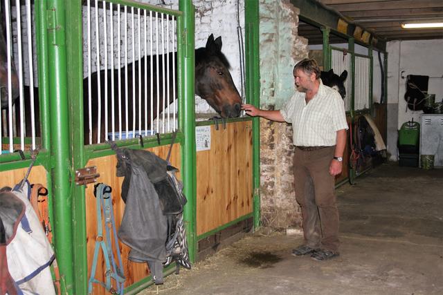 Die Ställe auf dem Reiterhof wurden erst kürzlich auf Vordermann gebracht und bieten alles, was „Pferd begehrt“.

