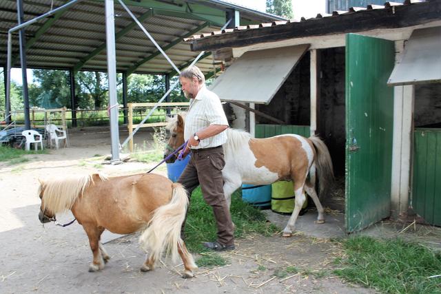 Werner Albry und seine zahlreichen Ehrenamtler sorgen dafür, dass die Tiere ihren täglichen Frei- und Auslauf bekommen.
