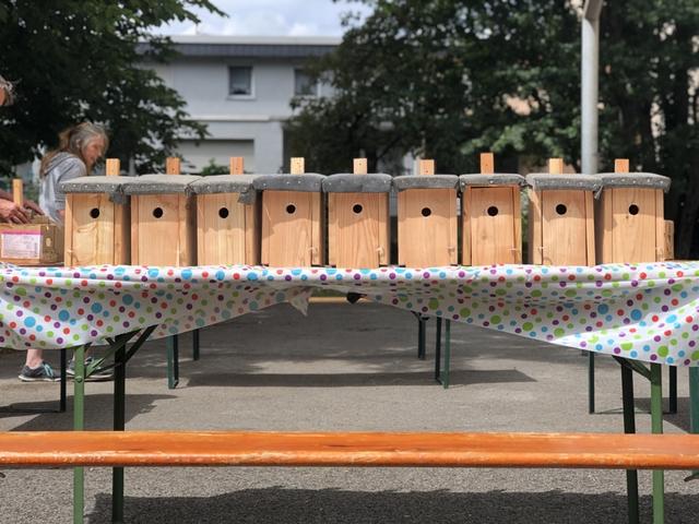 Die Kinder durften artgerechte Nistkästen für die heimischen Vögel bauen.