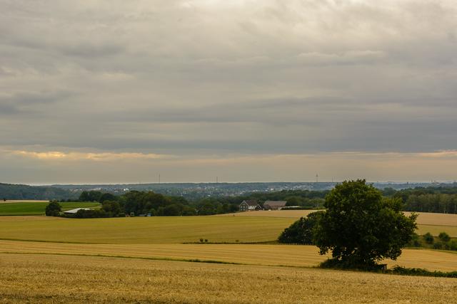 Kurz vor Ende unserer Runde wechselt der Wandersteig noch auf die andere Seite der A52 (s. Route in Bild 1) und es ergeben sich noch einige Ausblicke in nördlicher Richtung.