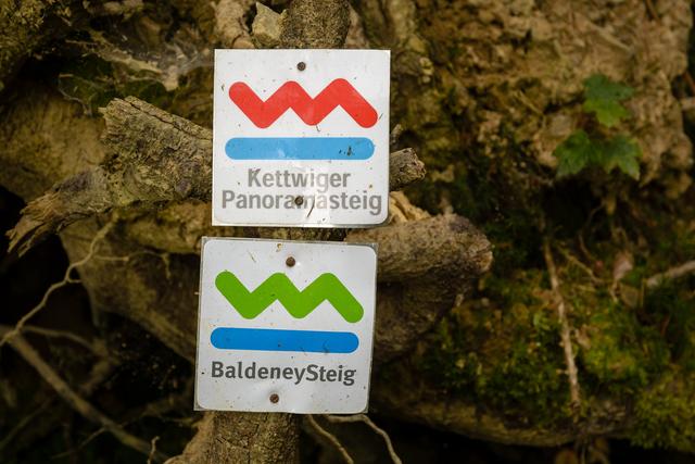 Bei Werden verlaufen der Baldeney Steig und der Kettwiger Panoramasteig ein kurzes Stück auf gemeinsamen Wegen.