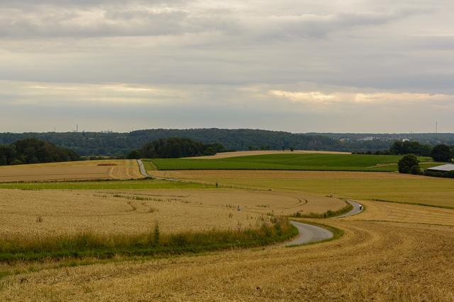 Kurz vor Ende unserer Runde wechselt der Wandersteig noch auf die andere Seite der A52 (s. Route in Bild 1) und es ergeben sich noch einige Ausblicke in nördlicher Richtung.