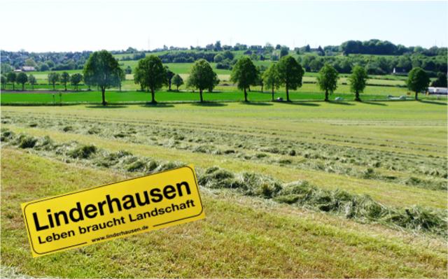 So sieht die Linderhauser Landschaft aus und so soll sie bleiben. Foto: Bürgerverein Linderhausen