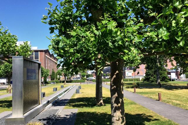 Die Grünanlage mit Wasserlauf