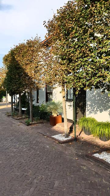 Kleine Straßen, ganz zentral.