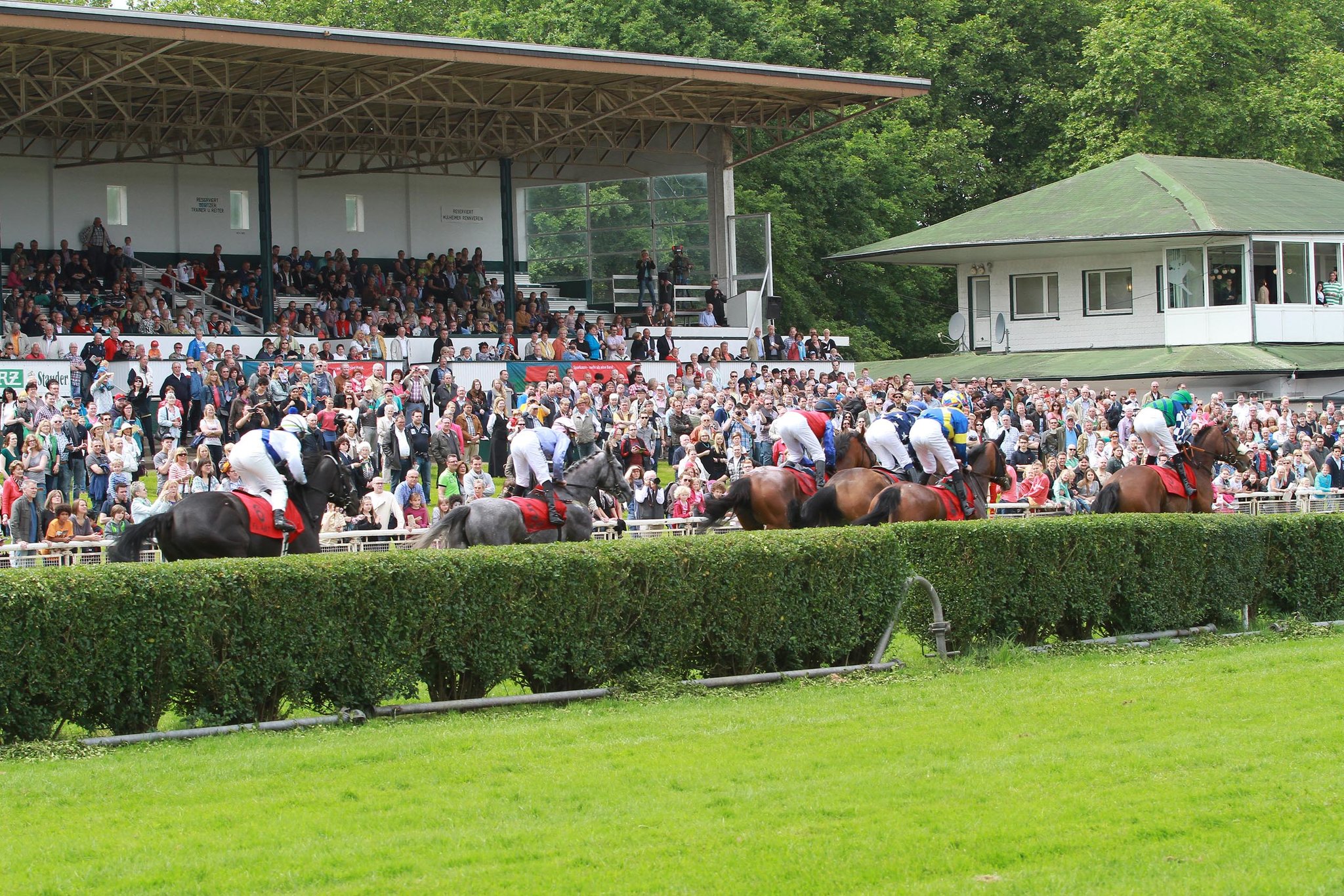 Atlético Mg X Flamengo: Live Dabei Sein? So Verpasst Du Nichts! - vunfj9d