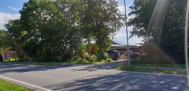 selbst so kaum zu erkennen | Foto: Umbehaue