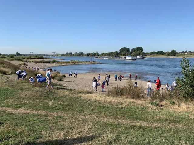 Wie im vergangenen Jahr soll es auch am Samstag wieder sauber zur Sache gehen, wenn die Rheinauen von Müll befreit werden.