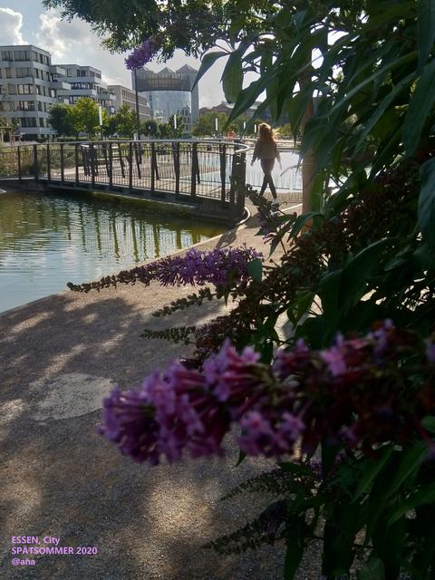 einfach mal´durch spazieren...