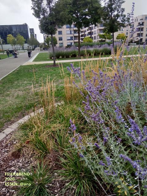 mir gefällt es dort...