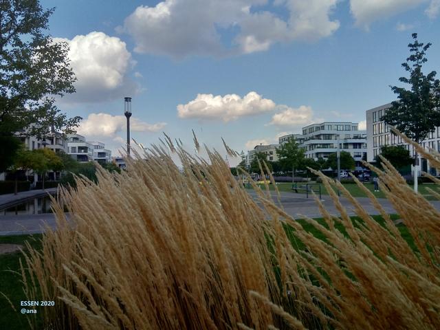 ich liebe solche Wolken... am Himmel :-)