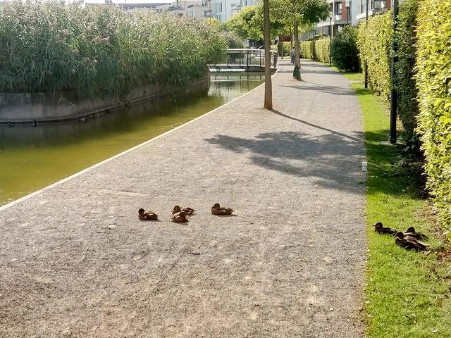 Sonnenbaden mitten in der Stadt :-)