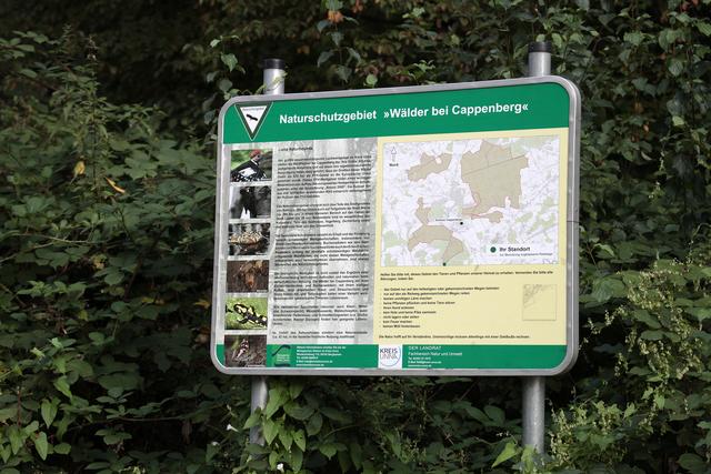 Im Naturschutzgebiet ist es verboten, Pilze zu sammeln, das steht auch auf diesem Schild am Vogelsberg.