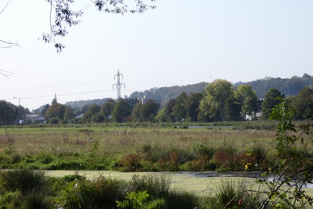 Kiebitzwiese