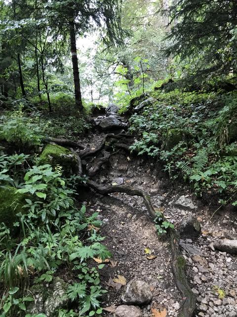 Ein einfaches Outdoor-Camp wird am Rottmanns Hof errichtet. Dort wird es viele Spiele geben, mit Naturmaterialien gewerkelt und gemeinsam der Wald erkundet.