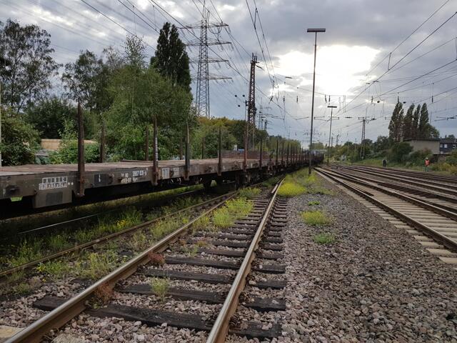 Bottrop: Güterzug endgleist