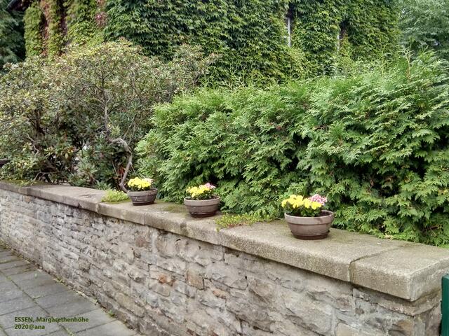 ... auf der Mauer....