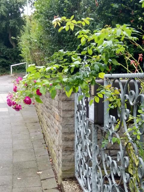 ...auf dem Weg zur Margarethenhöhe...September 2020