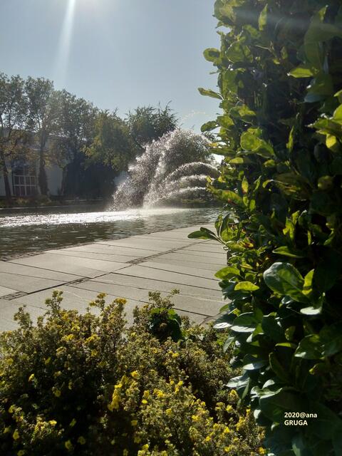 ...am Haupteingang...blinzelte sie schon los, die SONNE :-)