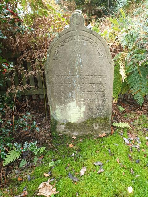 Samuel Moses, geb.:1802, gest.:11.1.1862