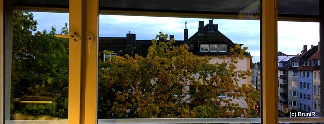 Ein kleiner Ausblick