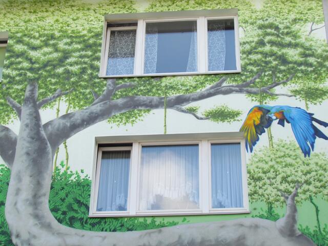 Dschungelhaus | Foto: Umbehaue