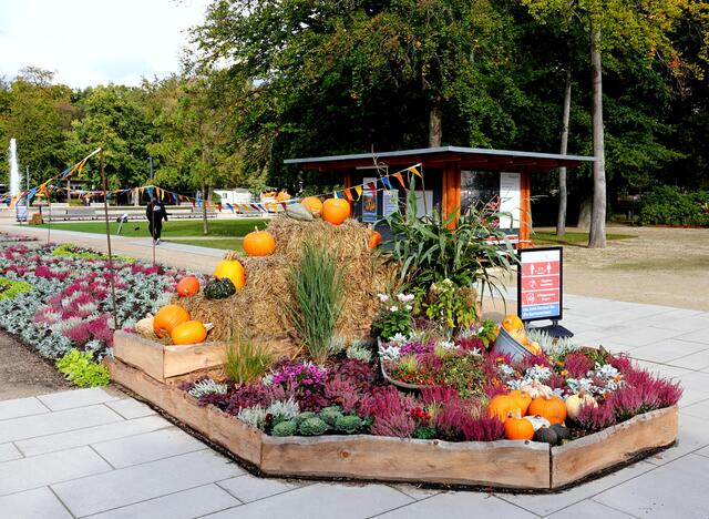 Giganten der Urzeit Das Kürbisfestival 2020 in der Gartenschau Bad