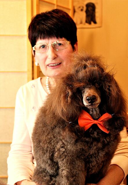 Christel Euler mit dem Zwergpudel Extreme Gabe van Kleine Nulland 2017. Damals berichtete die wap bereits über den Pudel-Klub. Archivfoto: Pielorz