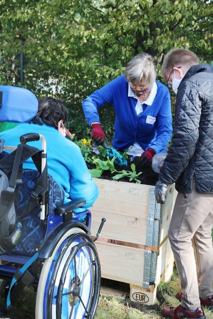 Es wurde kräftig zugepackt und Pflanze um Pflanze in die Hochbeete eingepflanzt. Foto: Inner Wheel Club GE
