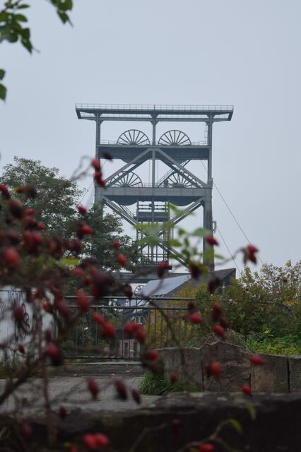 vom Kreisverkehr gesehen