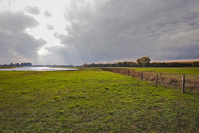 Auenlandschaft Bislicher Insel bei Xanten am Niederrhein 
